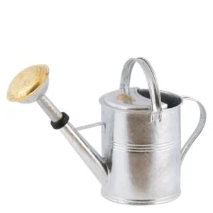 Kastelukannu 5 l sinkki, Plint