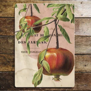 Peltikyltti vintage, Granaattiomena 15x20 cm