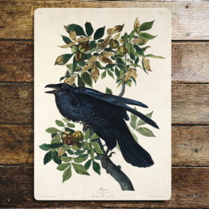 Peltikyltti, vintage, Korppi istuu oksalla 15 x 20 cm