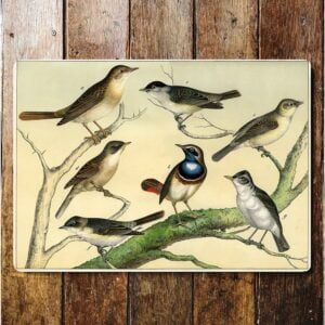 Peltikyltti vintage, Linnut oksalla 25x20 cm