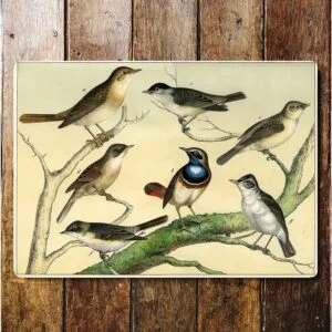 Peltikyltti vintage, Linnut oksalla 25x20 cm